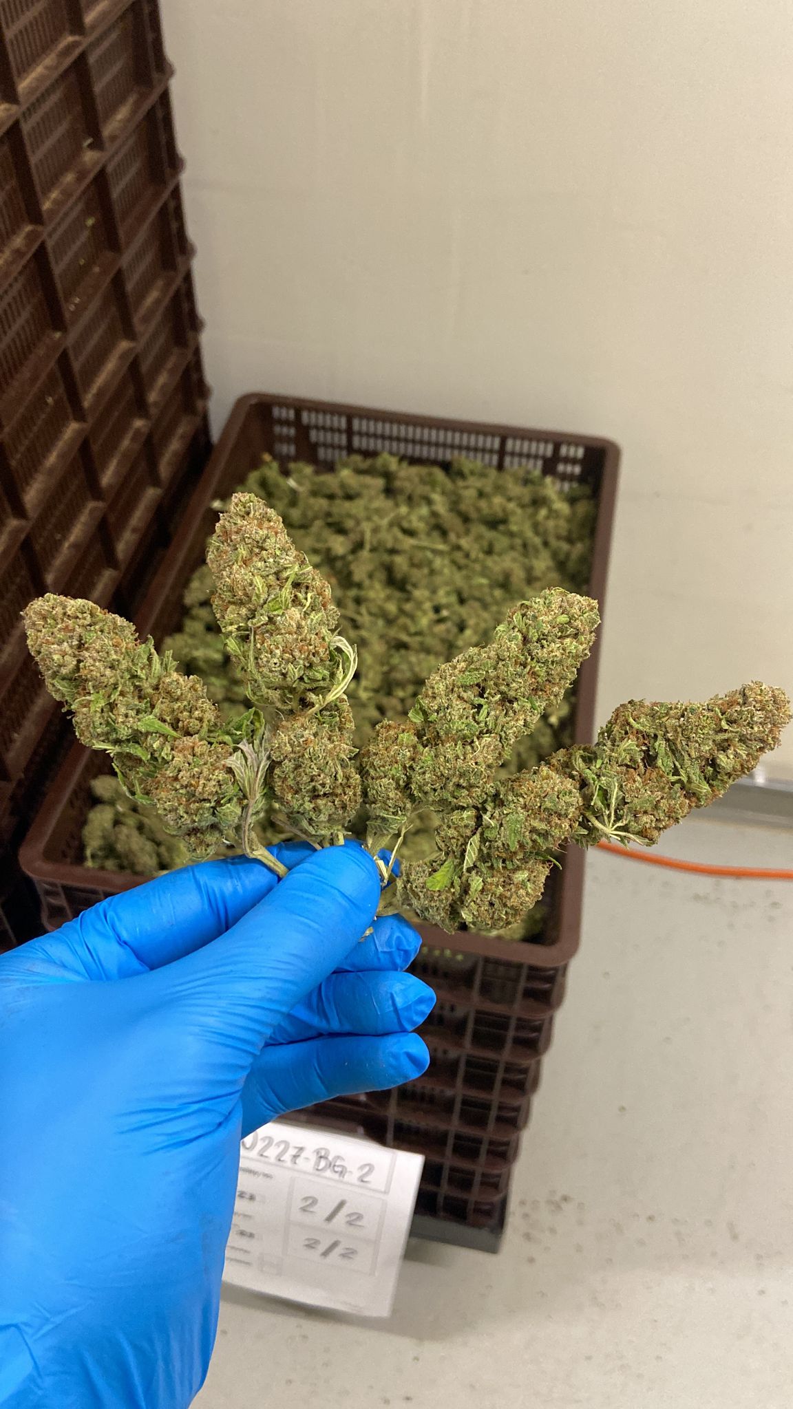 WhatsApp Image 2025-01-22 at 16.20.47_c4fc7e63.jpg